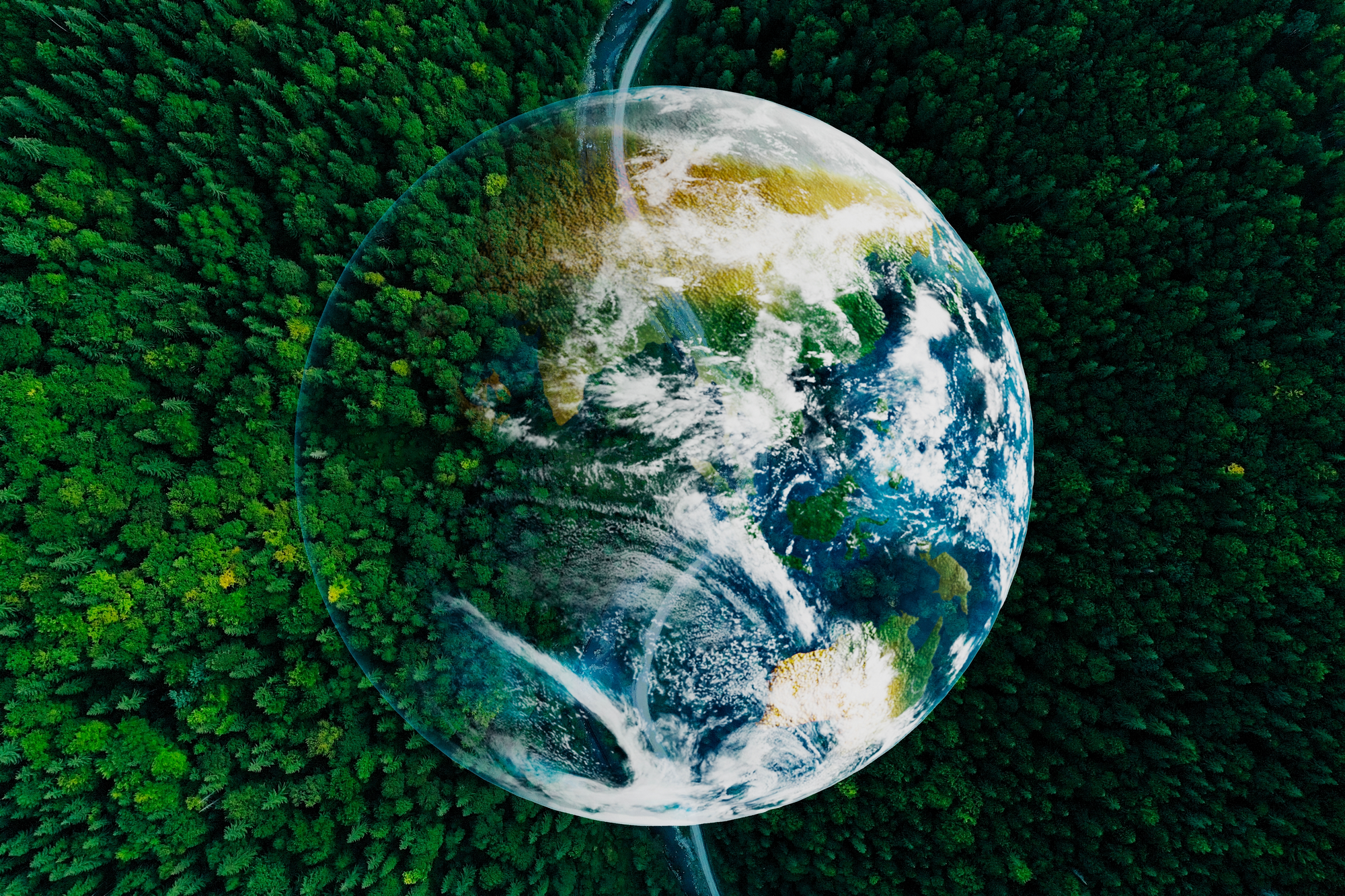 Planet Earth held within a living forest